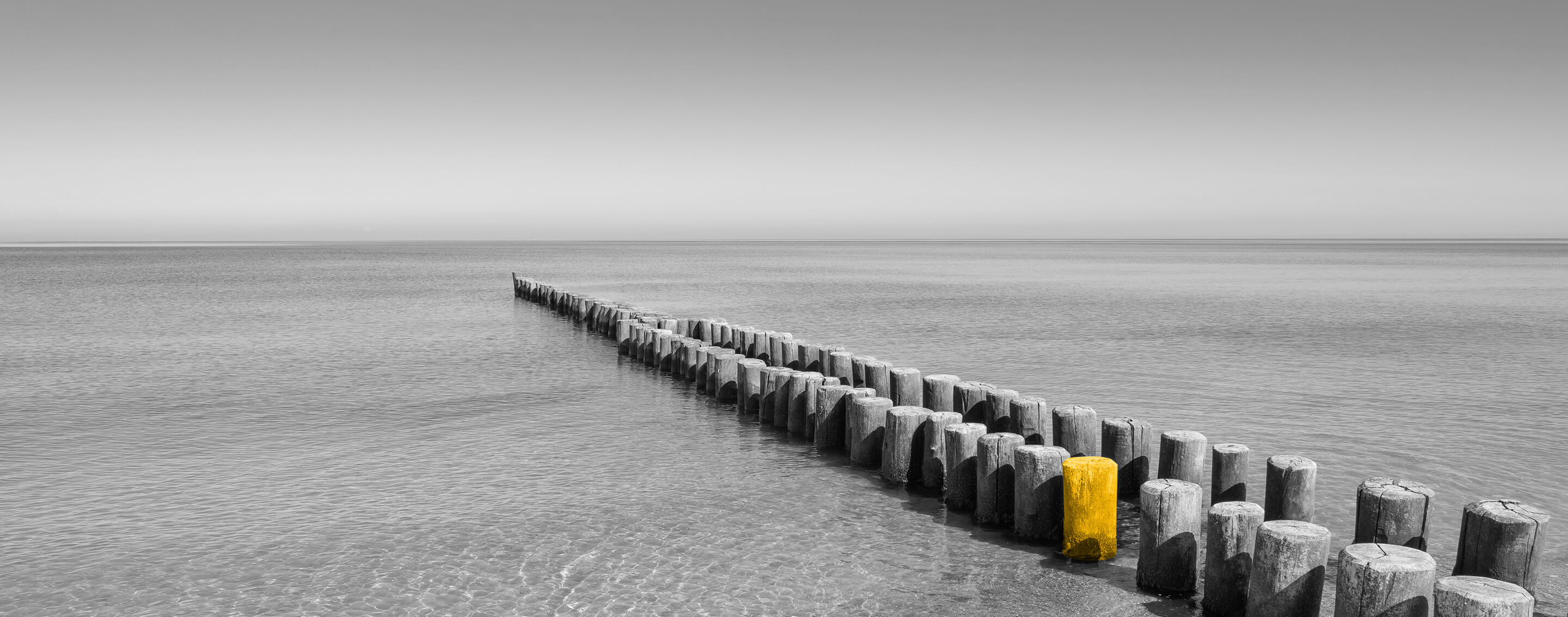 Medinio tilto poliai pakrantėje – laiko patikrintas INVL Šeimos biuro investicijų valdymas